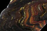 Polished Tiger Iron Stromatolite - ( Billion Years) #65323-1